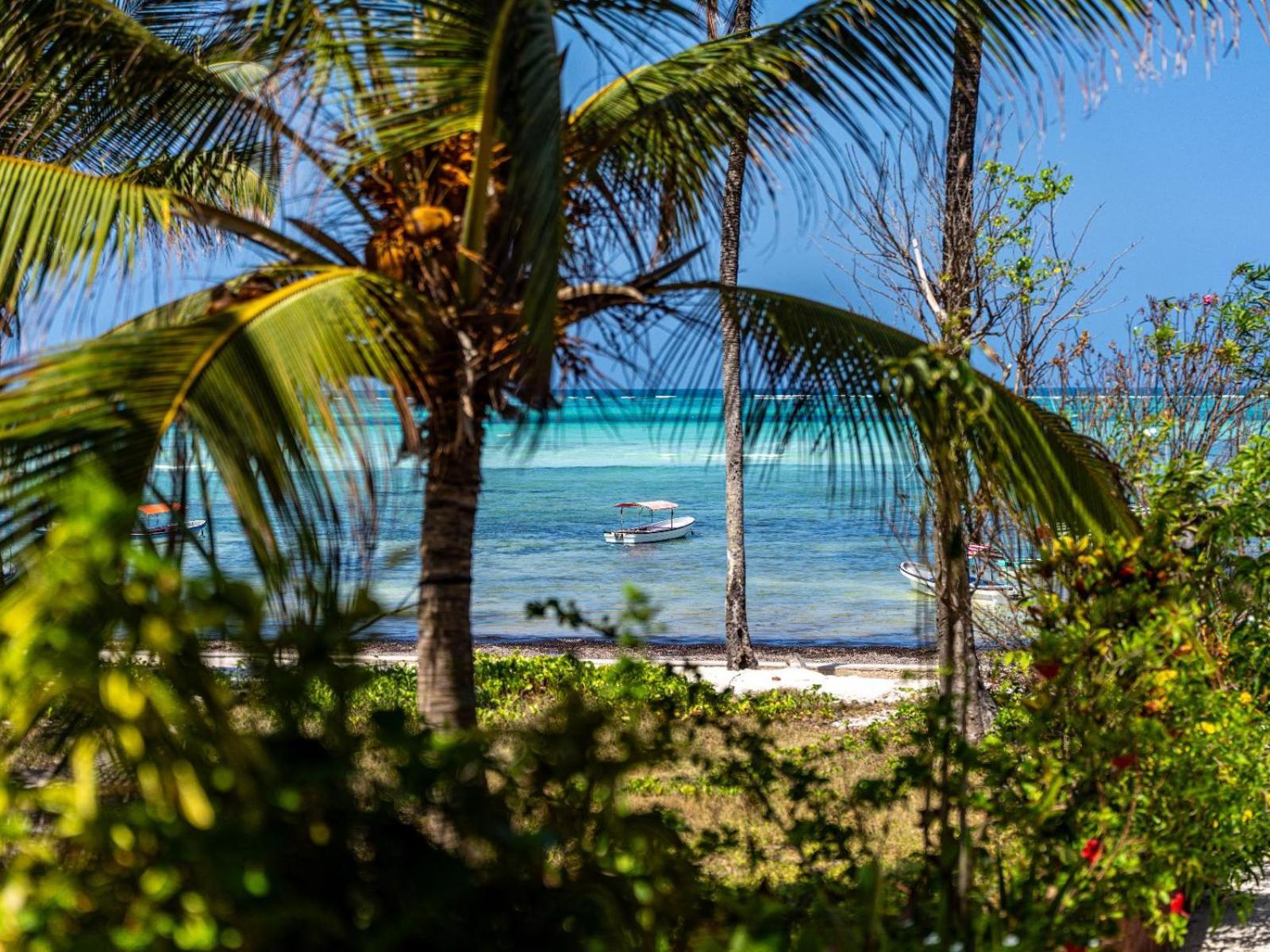 Shanuo Beach Bungalows Michamvi Kae Exterior photo
